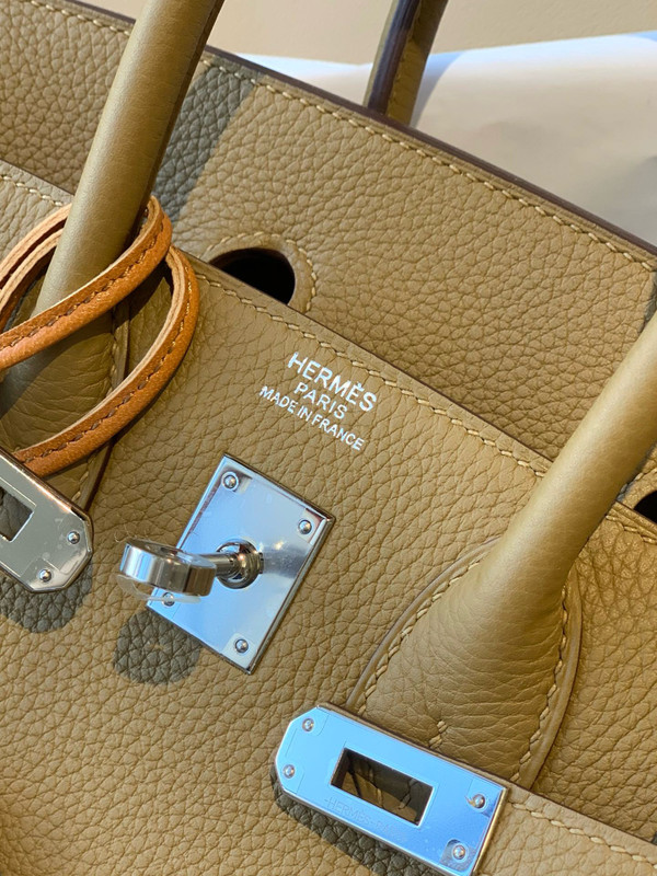 Hermes U8 Bronze Sore Birkin 25 cm Togo Palladium Hardware