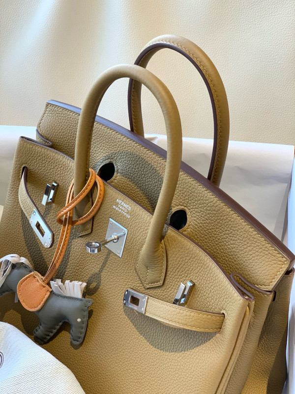 Hermes U8 Bronze Sore Birkin 25 cm Togo Palladium Hardware
