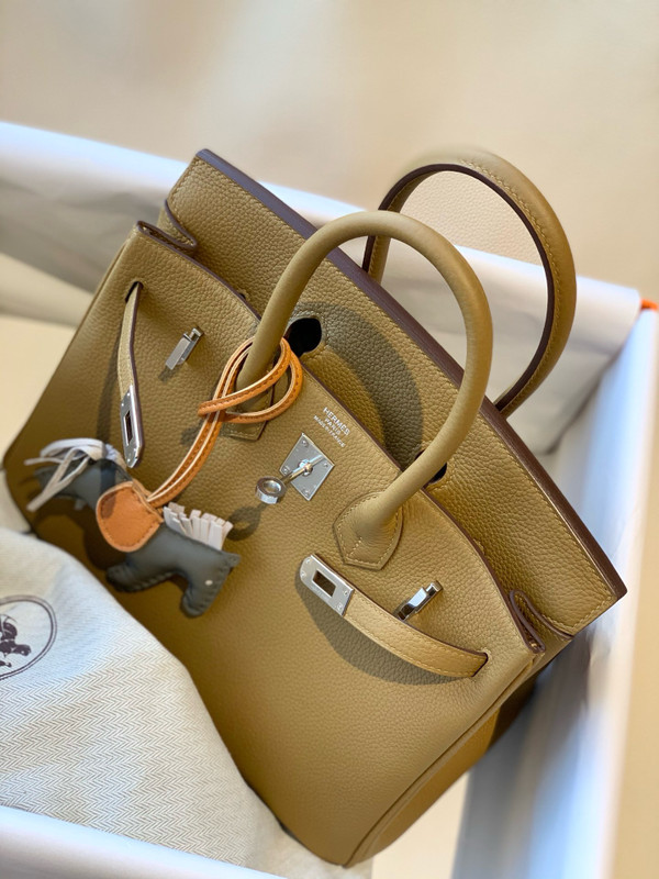 Hermes U8 Bronze Sore Birkin 25 cm Togo Palladium Hardware