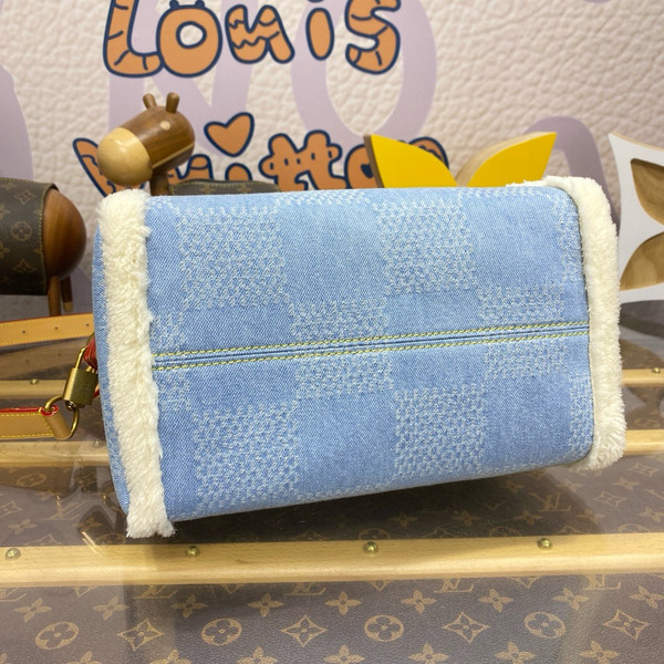 Louis Vuitton Speedy 25 Bandoulière Bag