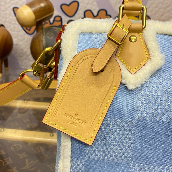 Louis Vuitton Speedy 25 Bandoulière Bag
