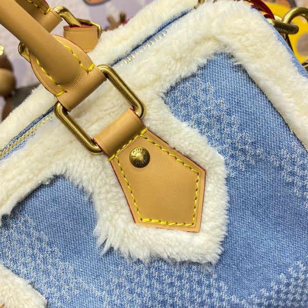 Louis Vuitton Speedy 25 Bandoulière Bag