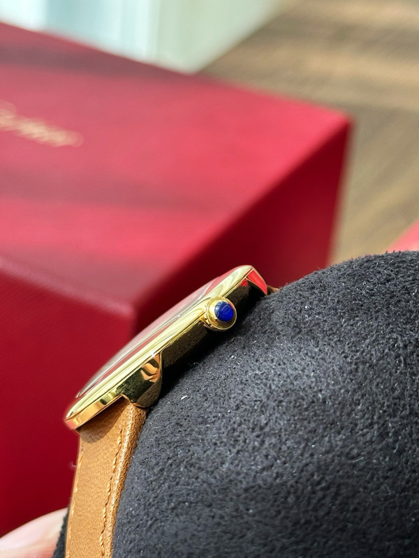 Cartier Pebble Watch Ref#: CRWGPB0003