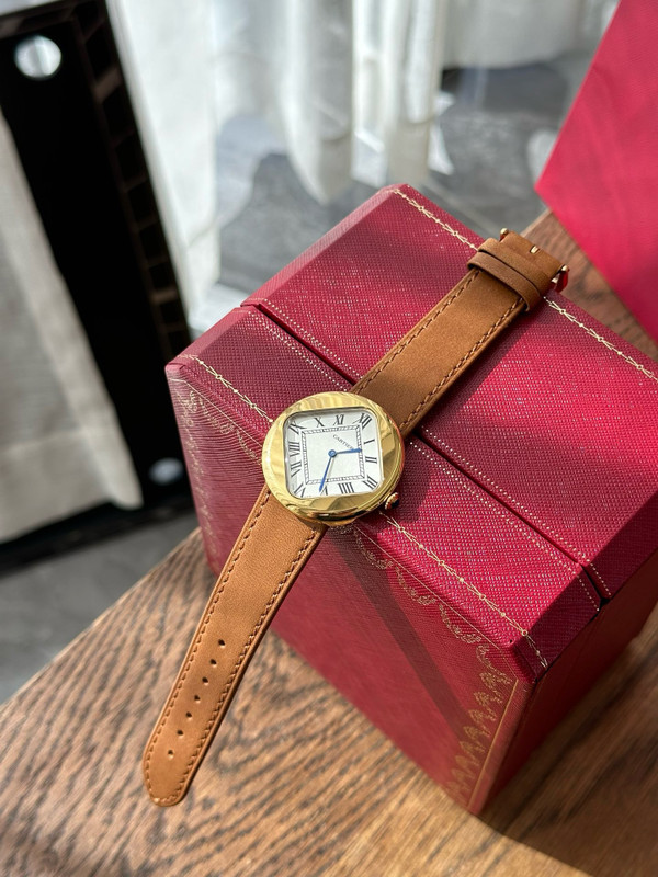 Cartier Pebble Watch Ref#: CRWGPB0003