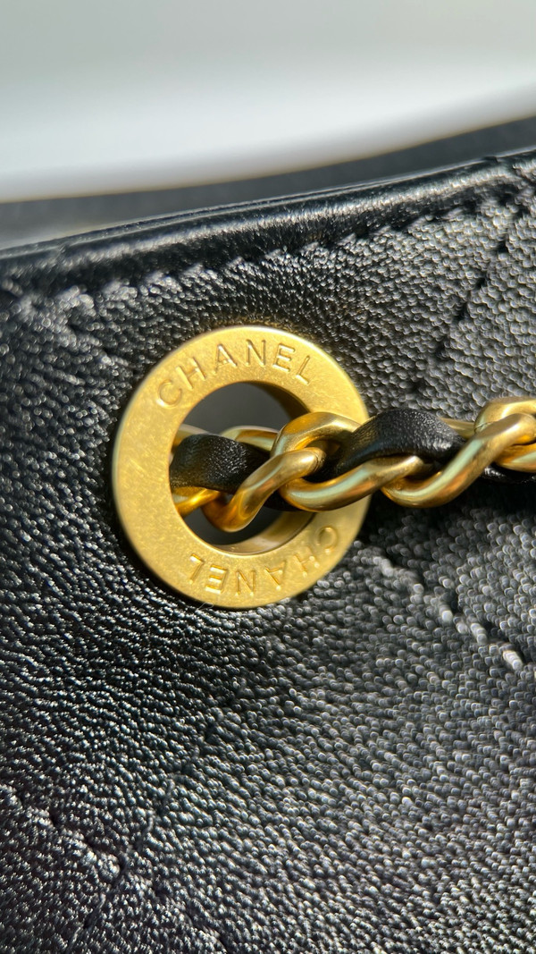 Chanel CRUISE 2024/25 BACKPACK Shiny Lambskin & Gold-Tone Metal