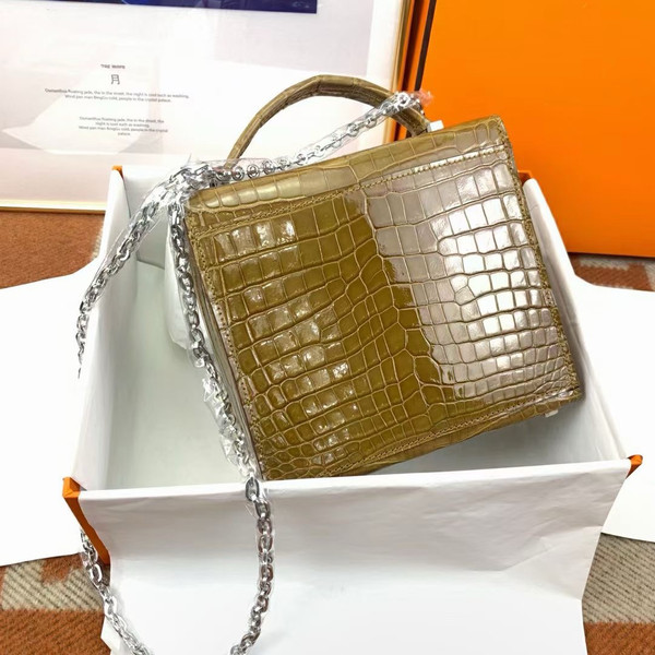 Hermès Shiny Belge Sable Niloticus Mississippiensis Cinhetic Box Bag