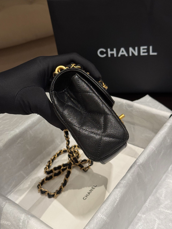 Chanel SPRING-SUMMER 2025 PRE-COLLECTION  MINI FLAP BAG