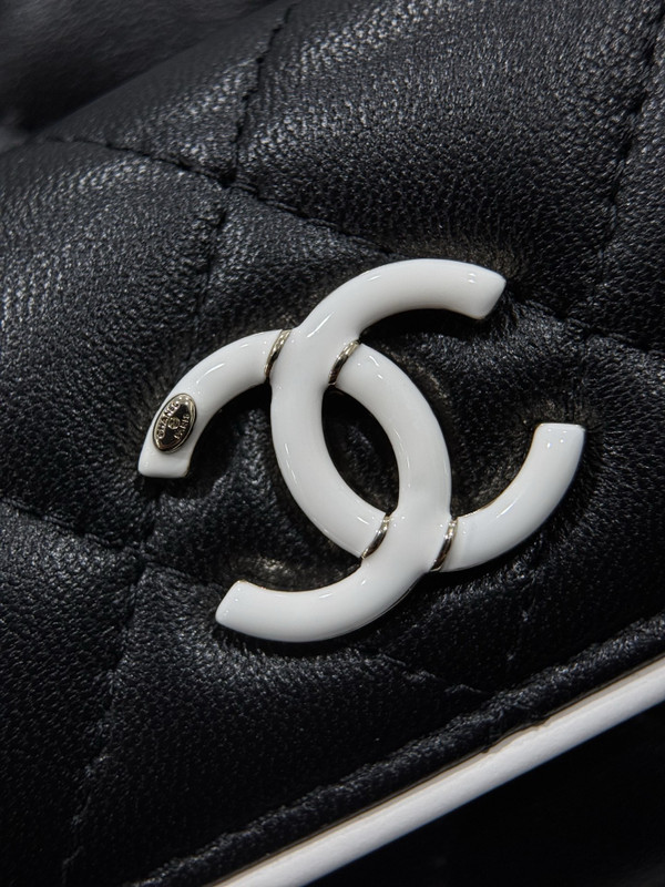 Chanel SPRING-SUMMER 2025 PRE-COLLECTION   MINI BACKPACK Black