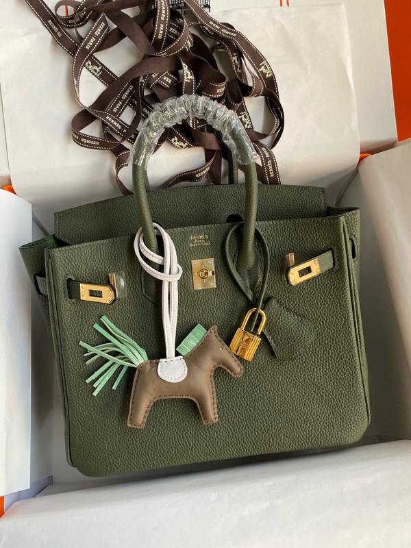 Hermes Vert Maquis Birkin 25 cm Togo Gold Hardware