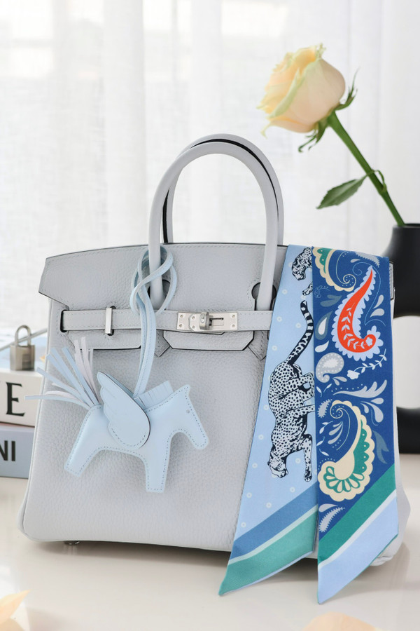 Hermes Gris Platine Birkin 25 cm Togo Palladium Hardware