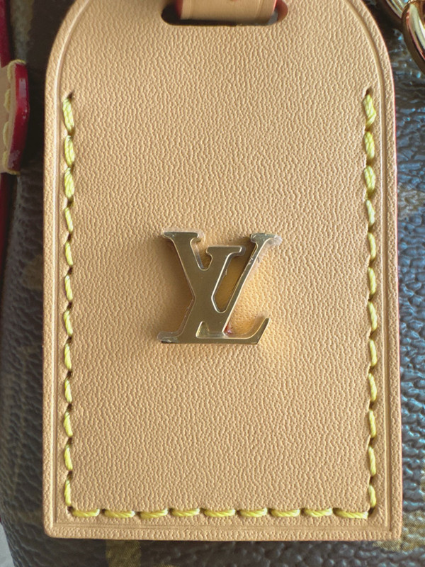 Louis Vuitton M13014 CarryAll BB