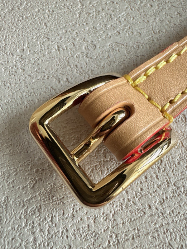 Louis Vuitton M13014 CarryAll BB