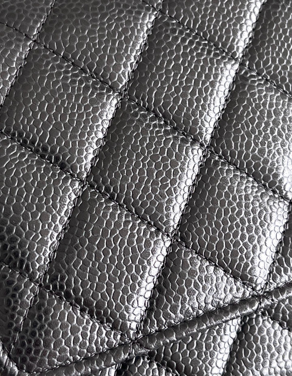 Chanel SPRING-SUMMER 2025   CLASSIC WALLET ON CHAIN WITH SILVER HARDWARE