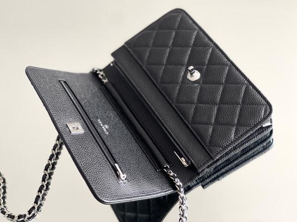 Chanel SPRING-SUMMER 2025   CLASSIC WALLET ON CHAIN WITH SILVER HARDWARE