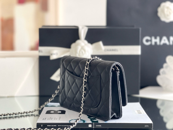 Chanel SPRING-SUMMER 2025   CLASSIC WALLET ON CHAIN WITH SILVER HARDWARE