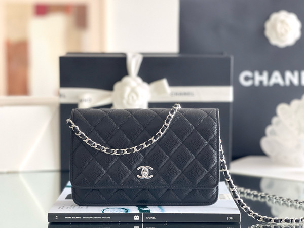 Chanel SPRING-SUMMER 2025   CLASSIC WALLET ON CHAIN WITH SILVER HARDWARE
