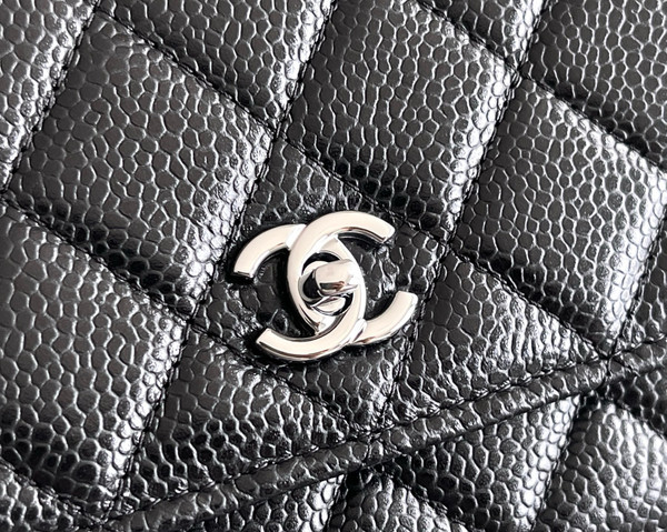 Chanel SPRING-SUMMER 2025   CLASSIC WALLET ON CHAIN WITH SILVER HARDWARE