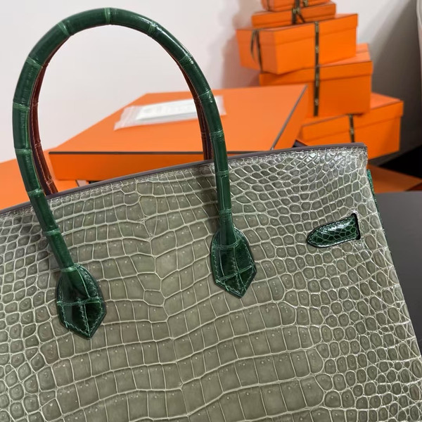 Hermes Special Order Gris Tourterelle/Vert Fonce/Vert Emeraude/Honey Birkin 35 in Porosus Crocodile with Palladium  hardware
