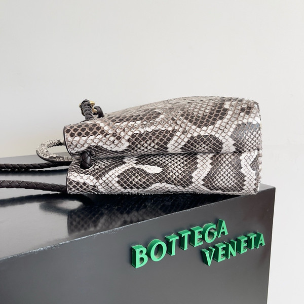 Bottega Veneta Python Andiamo Bag