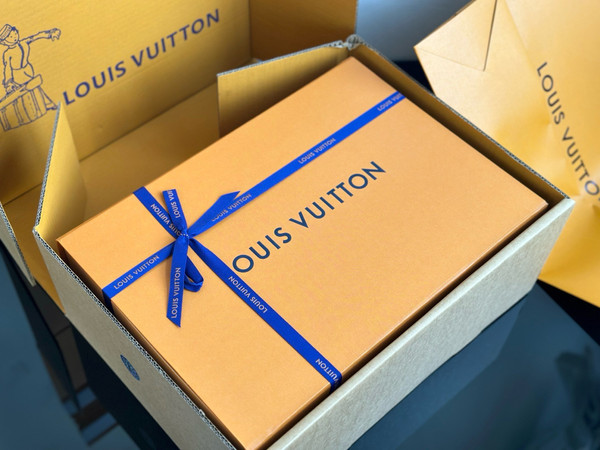 Louis Vuitton M12934 New Speedy Cargo Vibe Bag