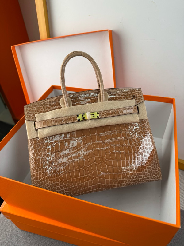 Hermès Sellier Birkin 25 Gold Shiny Crocodile Niloticus Gold Hardware