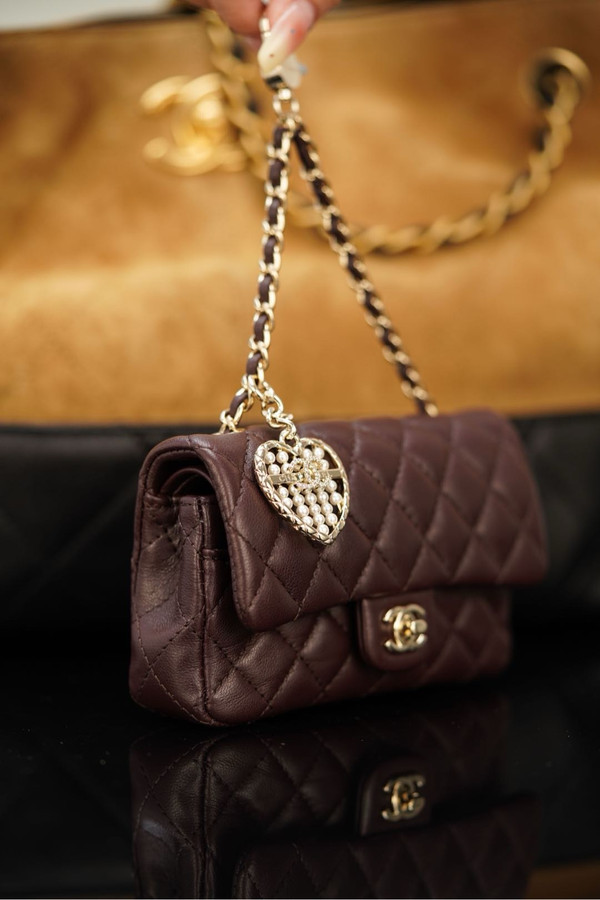 Chanel 2024/25 MÉTIERS D’ART   CLASSIC MINI BAG WITH HOOK