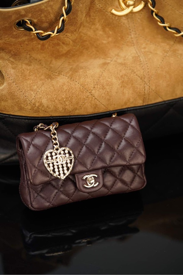 Chanel 2024/25 MÉTIERS D’ART   CLASSIC MINI BAG WITH HOOK