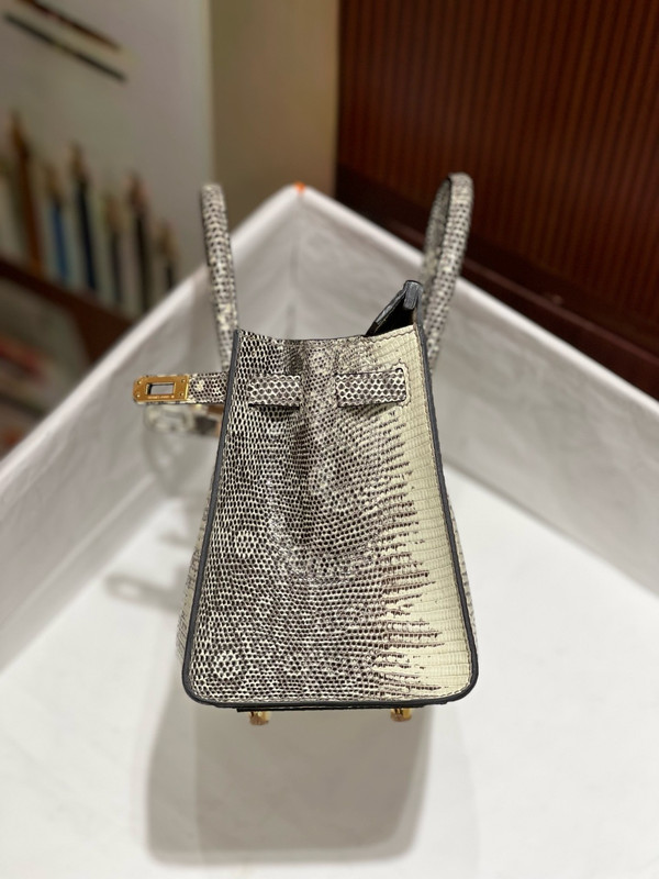 Hermes  Ombre Lizard Birkin Bag 20cm Gold Hardware