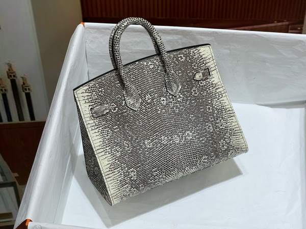 Hermes  Ombre Lizard Birkin Bag 20cm Gold Hardware