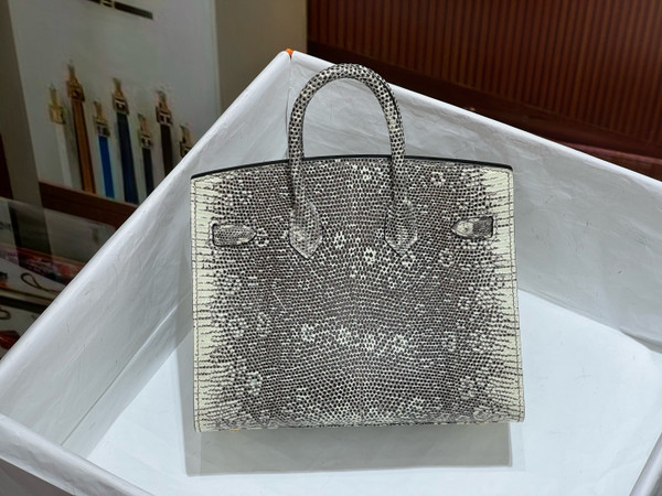 Hermes  Ombre Lizard Birkin Bag 20cm Gold Hardware