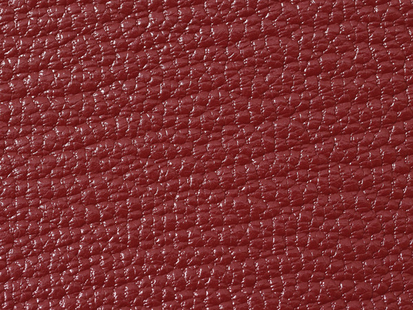 HERMÈS BOLIDE 1923 MINI BAG MYSORE GOATSKIN PALLADIUM HARDWARE ROUGH H