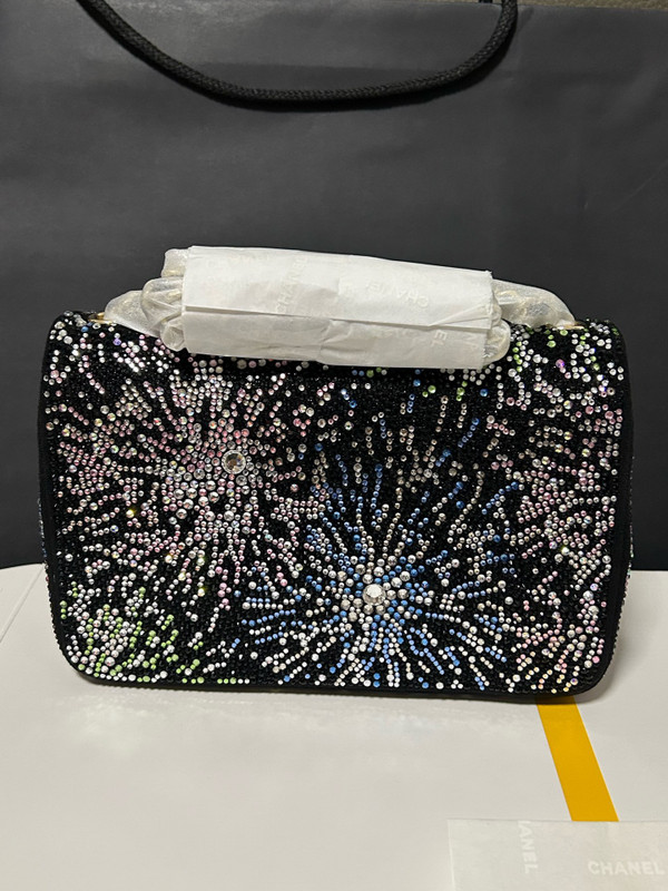 Chanel COCO NEIGE 2025/26 COLLECTION   EVENING BAG
