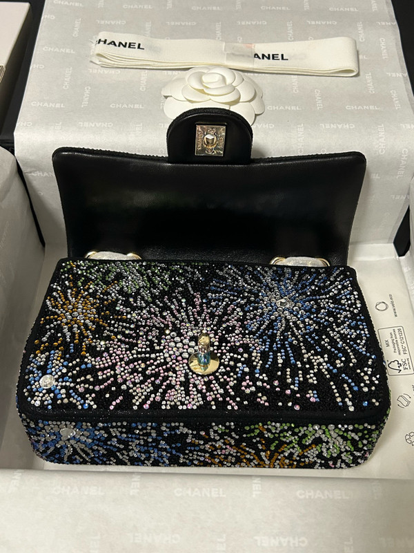 Chanel COCO NEIGE 2025/26 COLLECTION   EVENING BAG