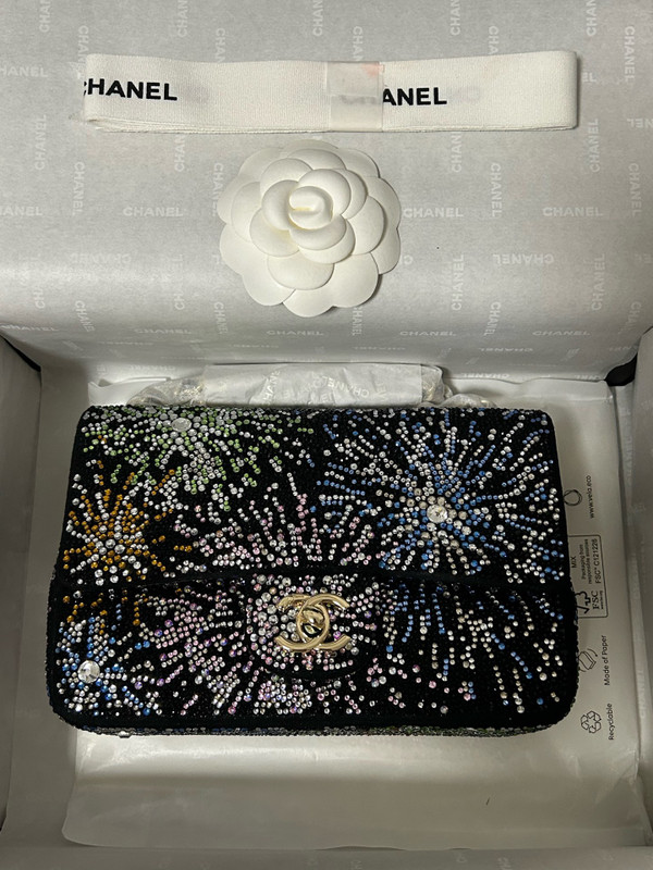 Chanel COCO NEIGE 2025/26 COLLECTION   EVENING BAG