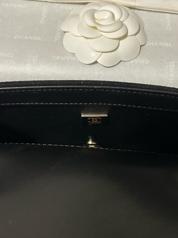 Chanel COCO NEIGE 2025/26 COLLECTION   EVENING BAG