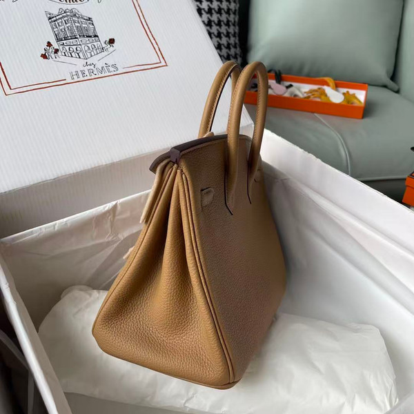 Hermes Biscuit Birkin 25 cm Togo Gold Hardware