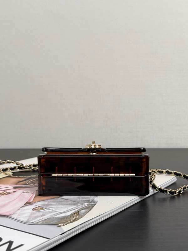 Chanel Cruise 2025/26 TORTOISESHELL  Mini Evening Bag 