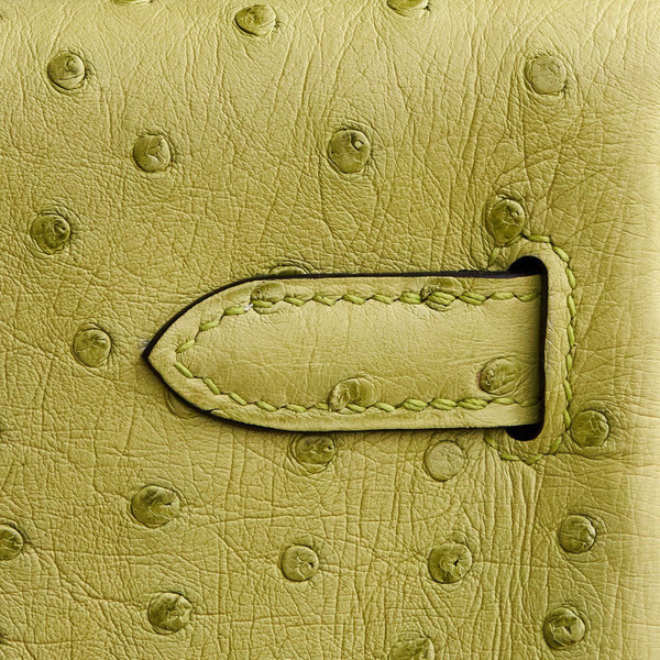 Hermes Kelly Ado Backpack Avocado Ostrich Gold Hardware 