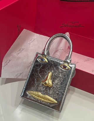 Schiaparelli Face Bag Small Red Lizard