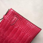 Hermes Braise Mini Kelly Pochette Gator Shine with Palladium Hardware