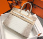 Hermes Matte Himalayan Prosperous  crocodile  Birkin bag with 18-karat white gold and diamond Hermes Matte Himalayan Prosperous  crocodile  Birkin bag with 18-karat white gold and diamond