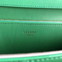 CELINE Green  Python Medium Classic Box Flap Bag