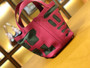 Hermes Petit H Limited Edition Rose Shocking/Peppermint Green Picotin Lock 22 Togo Leather Bag