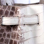 Hermes Matte Himalayan Niloticus Crocodile  Birkin bag 30 cm