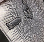 Hermes SHINY OMBRÉ SALVATOR LIZARD BIRKIN 30 WITH PALLADIUM HARDWARE