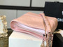 Chanel's Iridescent Gabrielle Hobo Bag Pink 