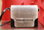  Hermes Special Order Lizard  Roulis Bag 23cm
