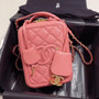 Chanel Vanity Case AS0988 Pink