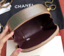 Chanel Metallic  Camera Case  AS0764 