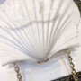 Chanel  Limited Edition shell plexiglass clutch 2019